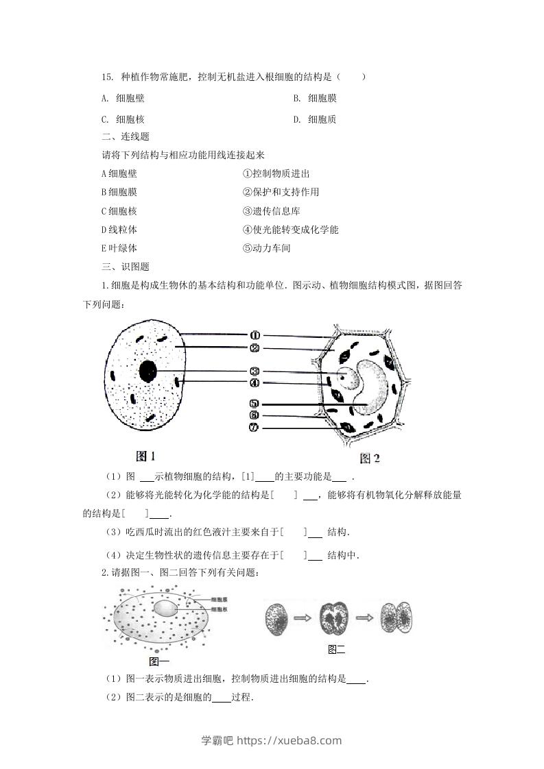 图片[3]-七年级上册生物第二单元第一章第四节试卷及答案(Word版)-学霸吧