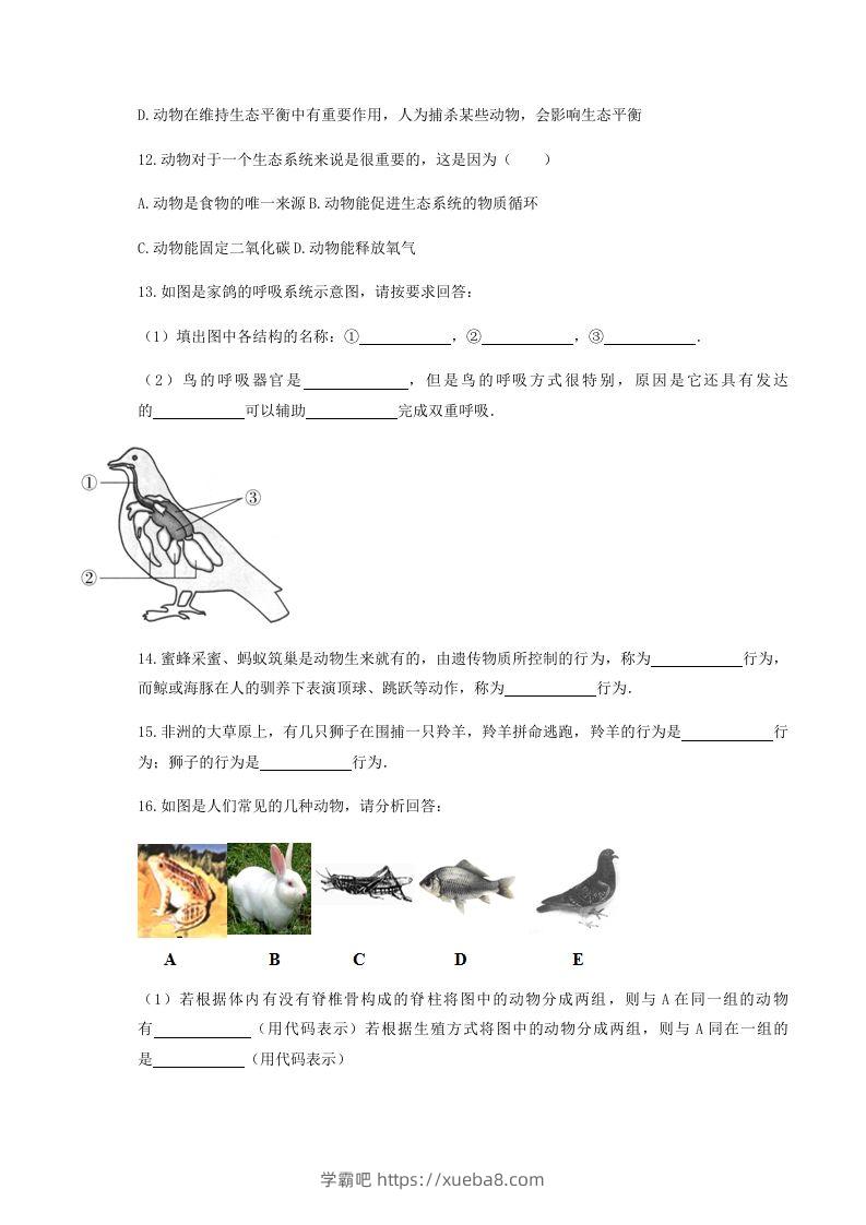 图片[3]-2020-2021学年湖北省黄冈市红安县八年级上学期期中生物试题及答案(Word版)-学霸吧