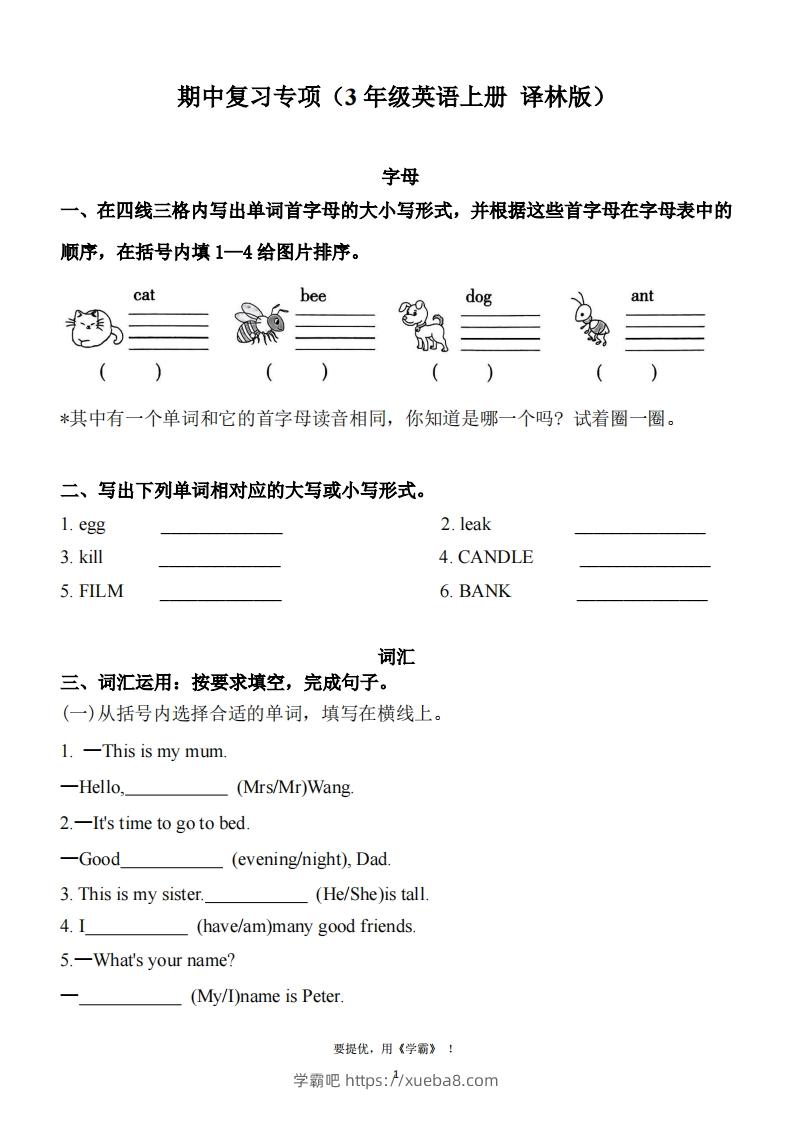 期中复习专项（三上英语译林版）-学霸吧